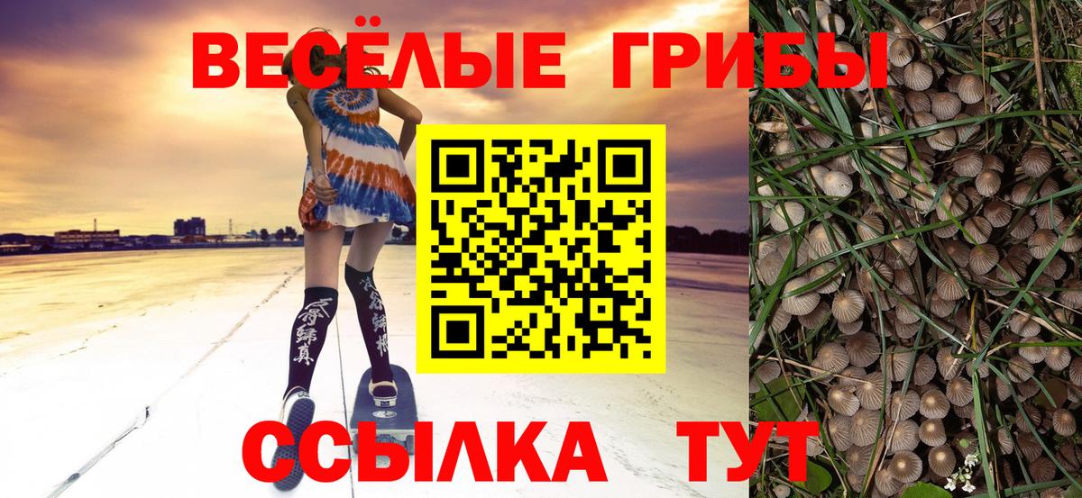 Псилоцибиновые грибы Psilocybine cubensis Нягань