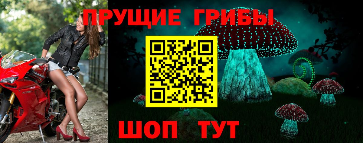Галлюциногенные грибы прущие грибы  Галлюциногенные грибы Cubensis  Вход с VPN  Нягань 